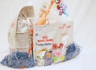 Cat Gift basket.  Contents include a silver food or water bowl, Royal Canin treats, Pkg of 4 Jingle Balls toy, Royal Canin Digger interactive feeder, Fish wand toy orange colour, Royal Canin Dental Veterinary cat food 1.5 kg size.