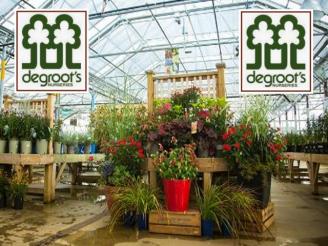  $100 Gift Card for tropical plants and indoor gardening from DeGroot's Nurseries, Sar.