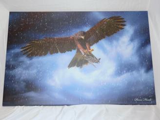  Print of Eagle/Bomber from a Friend of Rotary.