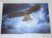 Block 78 #4 - Print of Eagle/Bomber from a Friend of Rotary
