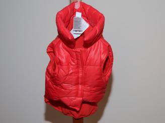  Red Puffer Dog Jacket from a Rotarian.
